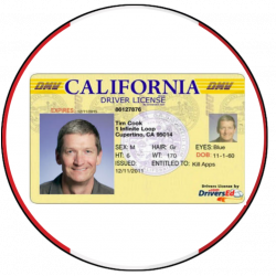 Driving Licence for USA