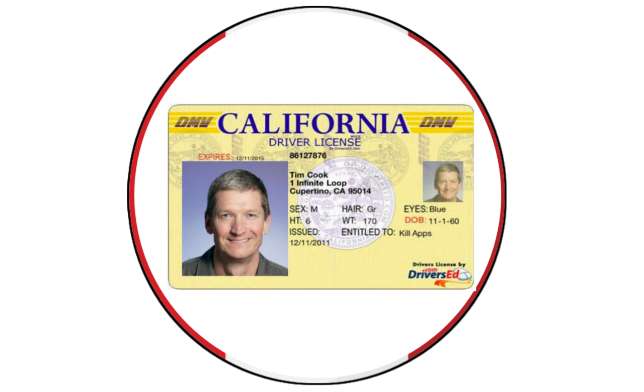 Driving Licence for USA