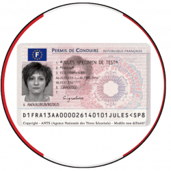 Driver License - France