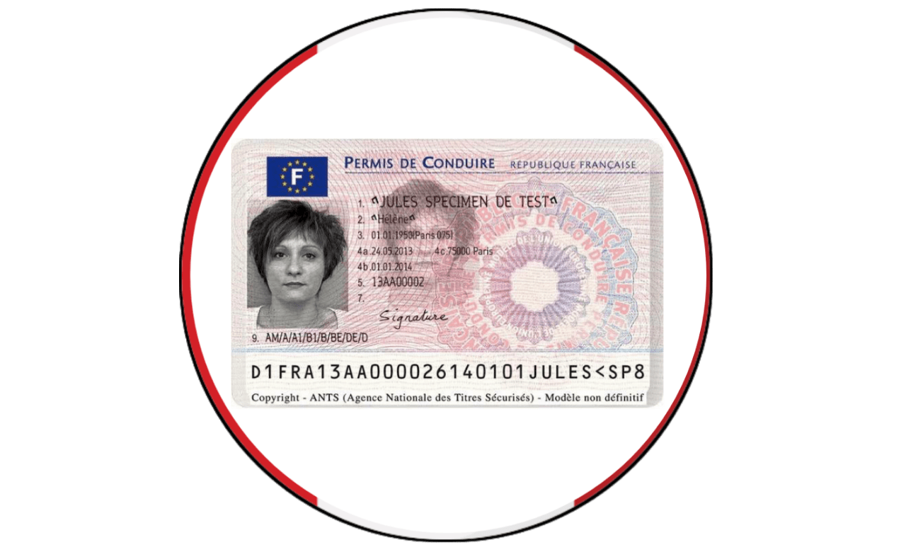 Driver License - France